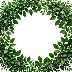 Fototapeta premium Leaves border with circular opening, dark background, green foliage