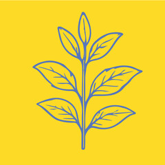 Botanical-style drawings of healing plants