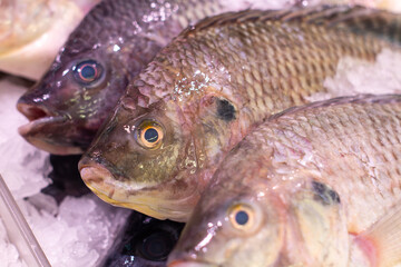 Fresh fish stacked on crushed ice at a supermarket display
