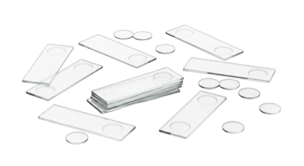 Contact Lenses and Solution: Eye Care Essentials.