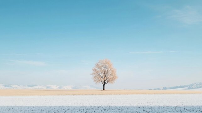 A lone tree stands in a snowy field, its bare branches reaching towards the clear blue sky.