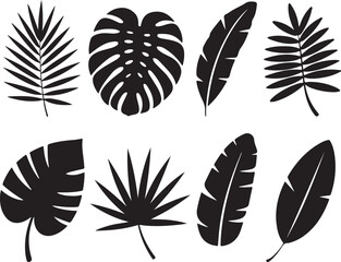Obraz premium Collection Of Tropical Exotic Jungle Palm Leaf Silhouettes Black Color Vector Illustration 130 Characters