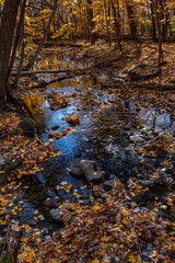 688-62 Hammel Creek Autumn