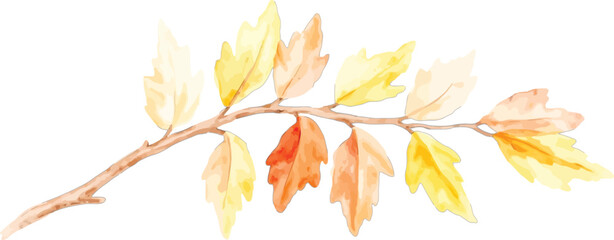 Watercolor painting of a branch with autumn leaves, transparent background, vector, illustration