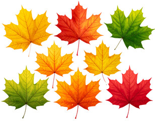 Fototapeta premium Set of Autumn Maple Leaves in Gradient from Green to Red, Isolated on Transparent Background PNG