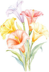 Watercolor painting of a colorful lily bouquet, transparent background, vector, illustration