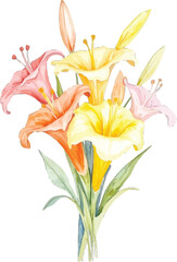 Watercolor painting of lilies in various colors, transparent background, vector, illustration