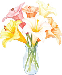 Watercolor painting of lilies in a glass vase, transparent background, vector, illustration