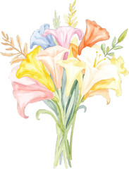 Watercolor painting of a bouquet of colorful lily flowers, transparent background, vector, illustration