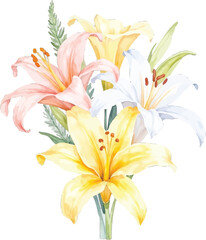 Watercolor painting of a bouquet of colorful lily flowers, transparent background, vector, illustration