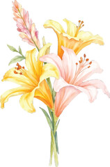 Watercolor painting of a lily bouquet art, transparent background, vector, illustration