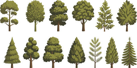 Stylized tree illustration, botanical diversity, coniferous and broadleaf trees, nature design, forest elements, foliage shapes, green blue brown hues, educational landscape art