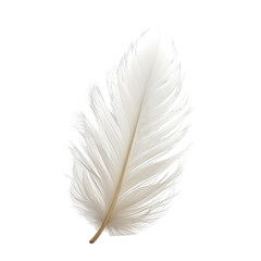 Fototapeta premium Detailed closeup of a soft, white feather on a solid black backdrop