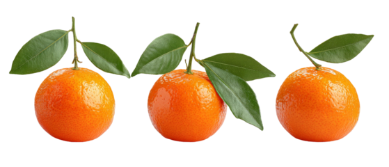 Three vibrant oranges with green leaves arranged in a row, showcasing their glossy texture and fresh appearance against a clean background, ideal for food-related content