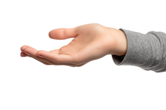 Female hand holding gesture isolated on transparent background
