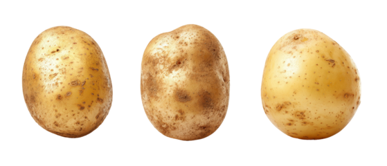 Three distinct potatoes with varying textures and colors, showcasing their natural imperfections and earthy tones, ideal for culinary use or agricultural presentations