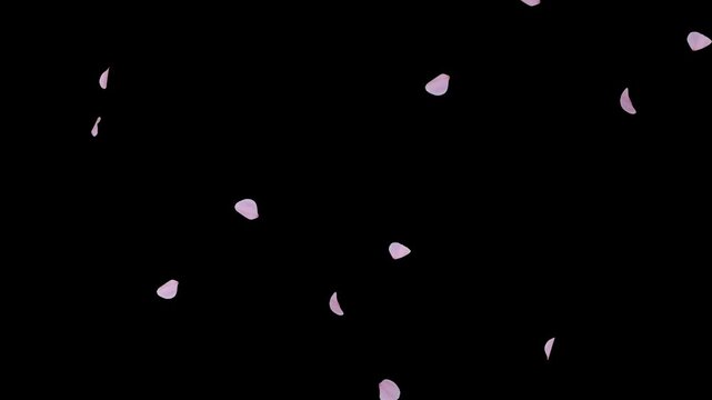 Cherry Blossom Transition Alpha Wipe