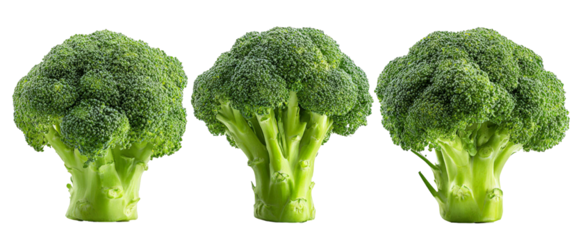 Three fresh broccoli heads arranged in a row, showcasing their vibrant green color and unique shapes, set against a clean white background, ideal for healthy eating promotion