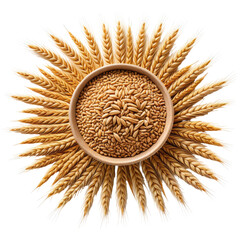 Grains, heads, and seeds in circular bowl. Golden, sunburst pattern