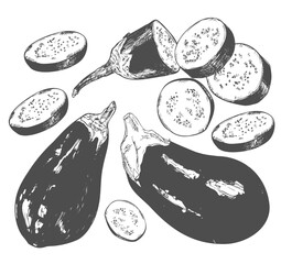 Hand Drawn Eggplant, half a eggplant and a slice. Black and white. Vector illustration, isolated on a white background.