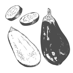 Hand drawn vintage vegetables collection of eggplant: full eggplant, a slice of eggplant illustration.
