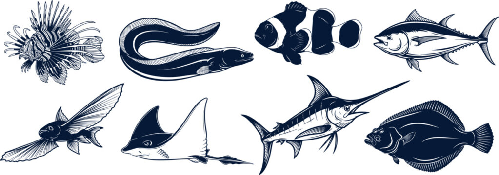 Explore a captivating collection of stylized sea creatures, from the majestic lionfish to the sleek marlin, perfect for ocean lovers and graphic design projects, showcasing marine life in artistic for