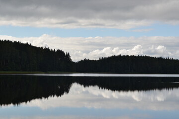 Obraz premium beautiful landscape of a lake in the forest
