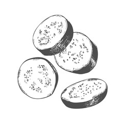 Sliced eggplant hand drawn ink sketch isolated on white background