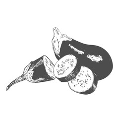 Hand drawn vintage vegetables collection of eggplant: full eggplant, a slice of eggplant illustration.