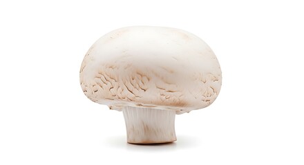 Isolated white button mushroom on a clean background showcasing its culinary appeal and potential for vegetarian and vegan cuisine applications offering natural healthy food options