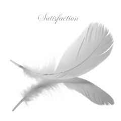 Obraz premium Lightness reflected in feathers, satisfaction soars