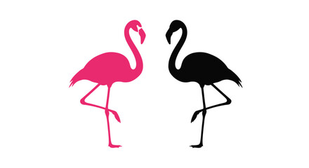 A pair of flamingos one pink and one black in a simple illustration