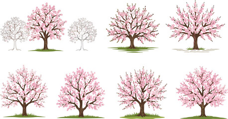 Obraz premium Beautiful cherry blossom tree illustration set with pink flowers, perfect for spring season designs, botanical artwork, garden decor, and invitations