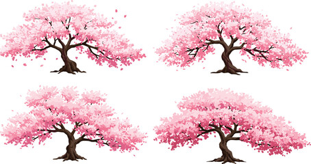 Beautiful cherry blossom tree vector illustration with pink flowers, spring season nature design, Japanese sakura artwork, floral decorative element. © MdAftab