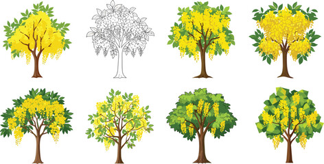 Beautiful golden shower tree vector illustration with yellow blossoms, green leaves, spring botanical branches, tropical floral nature design, decorative artwork collection.