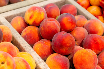 Lots of fresh peaches in a plastic tray on the counter of a grocery store