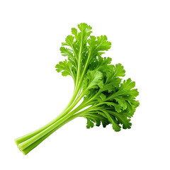 Fresh green leafy vegetable with thin stems and delicate texture