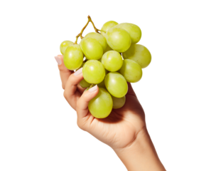 Fresh Hand Holding Bunch of Fresh Green Grapes isolated on transparent background