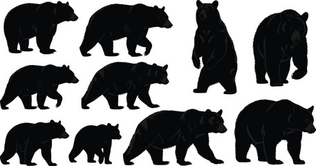 Black bear silhouettes in various walking and standing poses including cub with adult, wildlife animal set with detailed dark fur shapes on white background