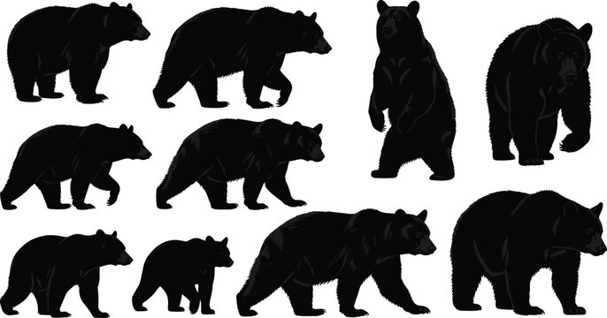Black bear silhouettes in various walking and standing poses including cub with adult, wildlife animal set with detailed dark fur shapes on white background