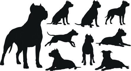 Pit bull dog silhouettes in various standing, sitting, running and lying poses, muscular breed set, black figures on white background
