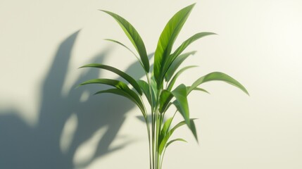 Obraz premium A small plant with long green leaves.