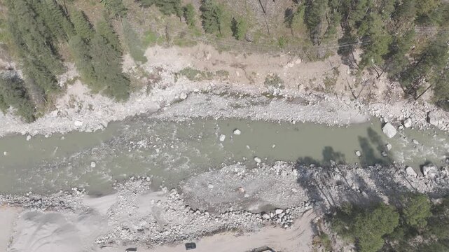 Top-down aerial shot of the Parvati River flowing through Parvati Valley in Kasol during autumn, showing pine and deodar trees lining the riverbanks with long shadows adding depth to the scene.