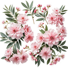Pink blossoms and foliage arrangement on a black background