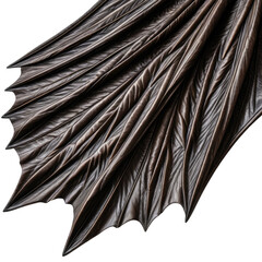 Dark, textured wing with scalloped edges on a black background