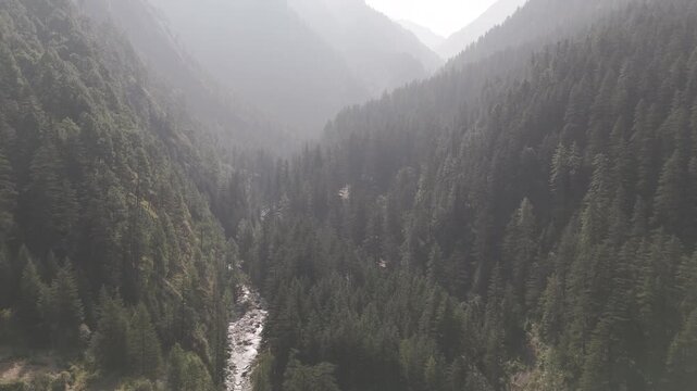 Layered green mountains in Parvati Valley, Kasol covered with dense pine and deodar trees, with soft mist drifting between the ridges, creating a serene and atmospheric Himalayan landscape.