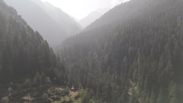 Layered green mountains in Parvati Valley, Kasol covered with dense pine and deodar trees, with soft mist drifting between the ridges, creating a serene and atmospheric Himalayan landscape.