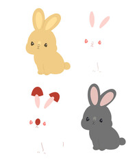 うさぎの種類