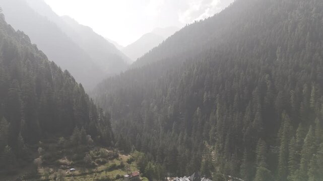 Layered green mountains in Parvati Valley, Kasol covered with dense pine and deodar trees, with soft mist drifting between the ridges, creating a serene and atmospheric Himalayan landscape.