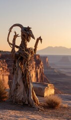 A weathered, intricately carved wooden sculpture resembling a mythical creature stands on a desert clifftop at sunrise, overlooking a vast canyon landscape under a pale sky